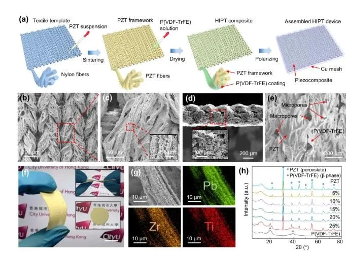 36020210805162623904